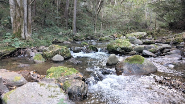 千曲川上流釣行(一日目)