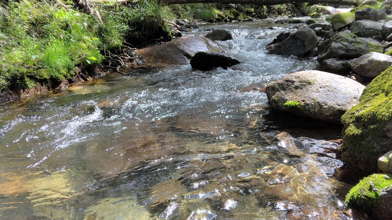 千曲川上流f釣行(二日目)