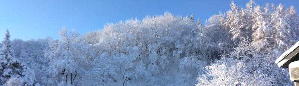 北信州農村生活だより